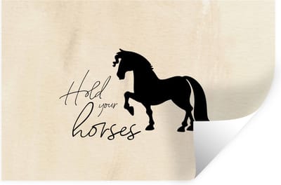 Muurstickers - Sticker Folie - Quotes - Hold your horses - Paarden - Spreuken - 30x20 cm - Plakfolie - Muurstickers Kinderkamer - Zelfklevend Behang - Zelfklevend behangpapier - Stickerfolie