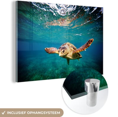 MuchoWow® Glasschilderij 60x40 cm - Schilderij acrylglas - Schildpad - Water - Blauw - Foto op glas - Schilderijen