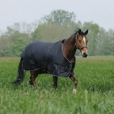 Outdoor paardendeken Equithème Tyrex 600D 50g