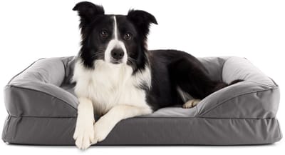 Lumaland orthopedisch hondenbed voor binnen en buiten | ergonomische hondensofa 90x65 cm – ideaal voor middelgrote honden | antislipbodem | vulling en hoes wasbaar | waterdichte hondenmand