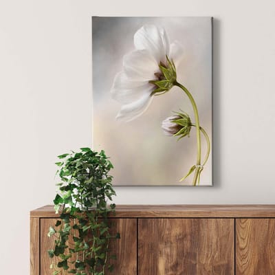 Canvas print DD123116 Cosmos A.S. Création 0,5 x 0,7 m Wit Kantoor Hal/Gang Keuken Slaapkamer Woonkamer