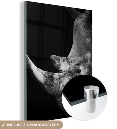 MuchoWow® Glasschilderij 120x160 cm - Schilderij acrylglas - Neushoorn - Dier - Licht - Foto op glas - Schilderijen