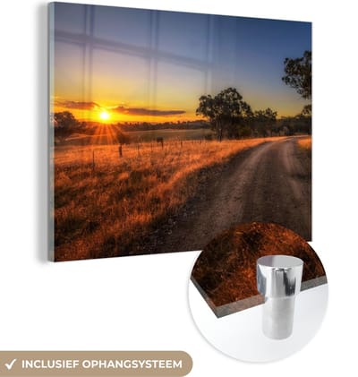 MuchoWow® Glasschilderij 40x30 cm - Schilderij acrylglas - Zon - Gras - Boom - Natuur - Foto op glas - Schilderijen