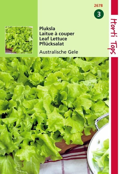2 stuks Hortitops Pluksla Australische Gele