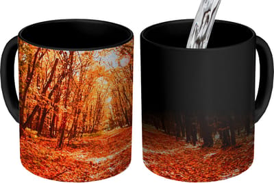 Magische Mok - Foto op Warmte Mokken - Koffiemok - Herfst - Bos - Bladeren - Seizoenen - Magic Mok - Beker - 350 ML - Theemok