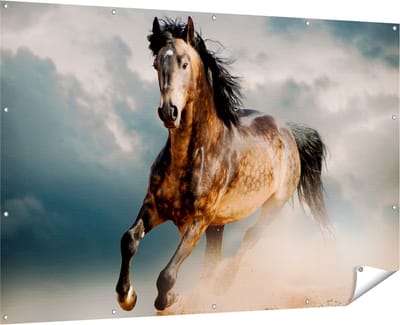 Gards Tuinposter Wilde Paard in het Zand - 180x120 cm - Tuindoek - Tuindecoratie - Wanddecoratie buiten - Tuinschilderij