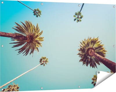 Gards Tuinposter Palmbomen met Bladeren in de Lucht - 120x80 cm - Tuindoek - Tuindecoratie - Wanddecoratie buiten - Tuinschilderij