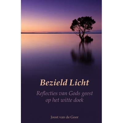 Bezield Licht - Joost van de Goor