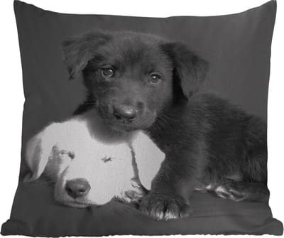 Tuinkussen - Honden - Puppy - Zwart - Wit - Dieren - 40x40 cm - Weerbestendig