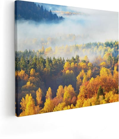 Artaza Canvas Schilderij Bos - 50x40 cm - Wanddecoratie Herfst - Muurdecoratie Bomen - Kamer Accessoires Landschap