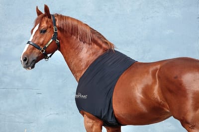 Horseware Rambo Slinky Shoulder M: dekenmaat 6'0–6'3 / 130–140 cm Zwart