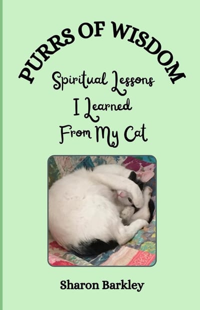 Spirituele Lessen en Inzichten Gehaald Uit het Leven van een Kat