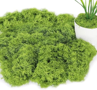 Natuurlijke IJslandse Mos voor Wanddecoratie, Nativiteitsscène en Modelbouw - 100 g Lichtgroen Mos voor Creatieve Klussen