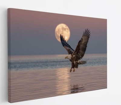 Saammp Canvas Schilderij - Zeearend met volle maan - Dieren - Bloemen - 30x20 - Foto op canvas - Wanddecoratie - muurdecoratie Woonkamer - Slaapkamer decoratie - Canvas Print