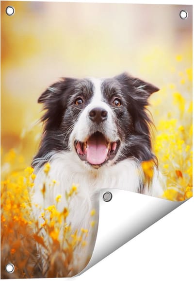 Gards Tuinposter Blije Hond tussen de Bloemen - 40x50 cm - Tuindoek - Tuindecoratie - Wanddecoratie buiten - Tuinschilderij