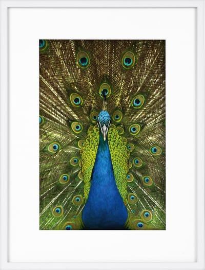 Goldbuch - Fotolijst Pino - Wit - 20x30 cm (30x40 cm)