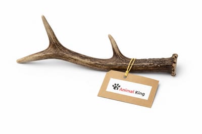 Hertengewei voor Hond 400-500 Gram - Kauwbot voor Lang Kauwplezier voor Hele Grote Honden - Hondenbot - Harde Hondensnack - Animalking - Gewei Hond