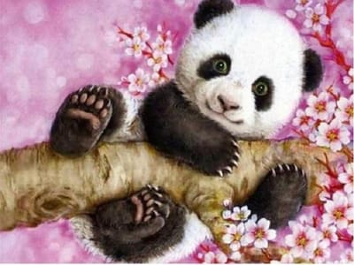 Paint By Numbers Panda in Boom - Schilderen op Nummer - 40x50cm - Dieren - Volwassenen - Stipco