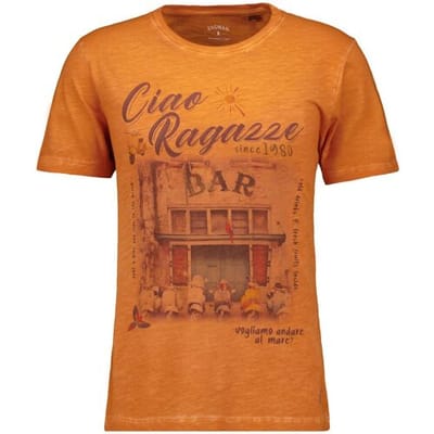 Ragman T-Shirt Jersey Bar Graphic Crew Neck Abrikoos / male