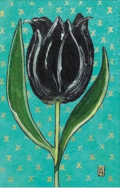 Dubbele kaart met env. Zwarte Tulp 11,5x17,5cm