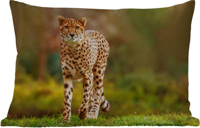 Buitenkussens - Wilde dieren - Gras - Luipaard - Natuur - 60x40 cm - Weerbestendig
