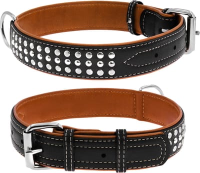 WAUDOG Soft Deco Halsband / Hondenhalsband - Leder - Zwart - L - Breedte: 35 mm - Nekomtrek: 46 - 60 cm (GELIEVE ALVORENS BESTELLEN OPMETEN)