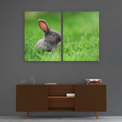 Artaza Canvas Schilderij Tweeluik Konijn In Het Gras - 120x80 - Foto Op Canvas - Canvas Print