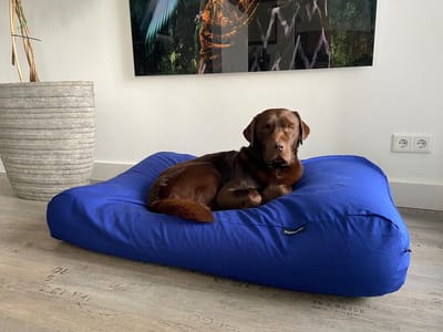 Dog's Companion Hondenkussen / Hondenbed - XS - 55 x 45 cm - Royal Blue Canvas/Katoen