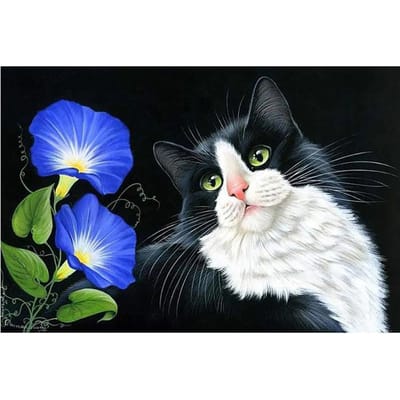 DIY 5D Diamond Schilderen Cross Stitch Kat bloem Mozaïek Diamant Borduren Handwerken 20X30CM black