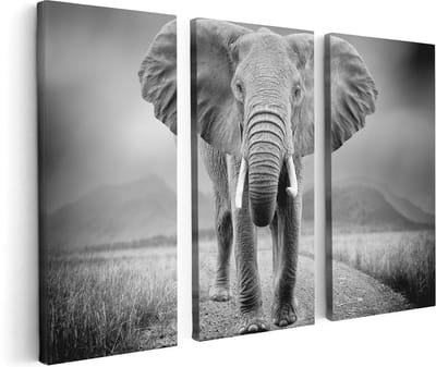 Artaza Canvas Schilderij Drieluik Olifant - Zwart Wit - 120x80 - Foto Op Canvas - Canvas Print