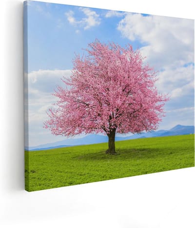 Artaza Canvas Schilderij Kersenbloesem - 50x40 cm - Wanddecoratie Bos - Muurdecoratie Landschap - Kamer Accessoires Natuur