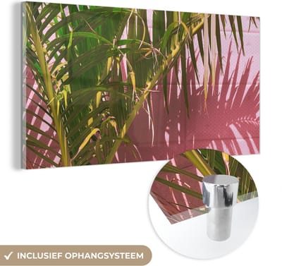MuchoWow® Glasschilderij 40x20 cm - Schilderij acrylglas - Plant - Zomer - Tropisch - Roze - Foto op glas - Schilderijen