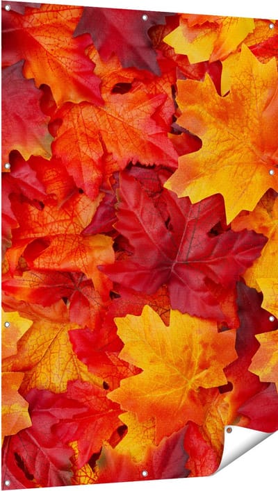 Gards Tuinposter Herfstbladeren in het Oranje en Rood - 100x150 cm - Tuindoek - Tuindecoratie - Wanddecoratie buiten - Tuinschilderij