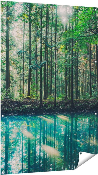 Gards Tuinposter Bos bij een Groen Meer - 100x150 cm - Tuindoek - Tuindecoratie - Wanddecoratie buiten - Tuinschilderij