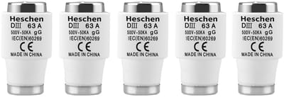 Dailygoods - Neozed-zekeringinzetstukken - DIII-type - 63 A - gG-type - Voor kabel en kabelbescherming - 5 stuks