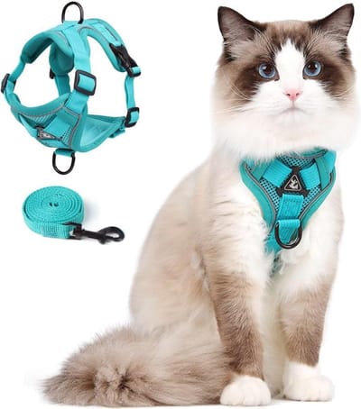 Lexium Kattenharnas - Kattentuigje met looplijn - Katten harnas - Kattenharnas met leiband - Kattenharnas met looplijn - Kattenlijn - Kattentuig