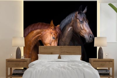 Behang kinderkamer - Fotobehang Paarden - Dieren - Portret - Bruin - Breedte 350 cm x hoogte 350 cm - Kinderbehang
