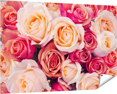 Gards Tuinposter Roze Rozen Achtergrond - Bloemen - 150x100 cm - Tuindoek - Tuindecoratie - Wanddecoratie buiten - Tuinschilderij