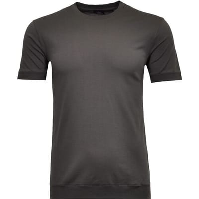 Ragman T-Shirt Uni Round Neck Pima Cotton with Cuffs Leisteen / male