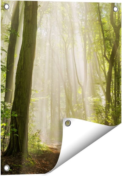 Gards Tuinposter Bos met Bomen en Zonneschijn - 40x50 cm - Tuindoek - Tuindecoratie - Wanddecoratie buiten - Tuinschilderij