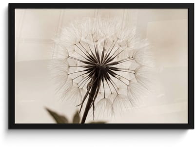 Poster in lijst - Fotolijst 60x40 cm - Posters - Paardenbloem - Minimalistisch - Wit - Posterlijst zwart - Decoratie - Wanddecoratie woonkamer - Muurdecoratie slaapkamer