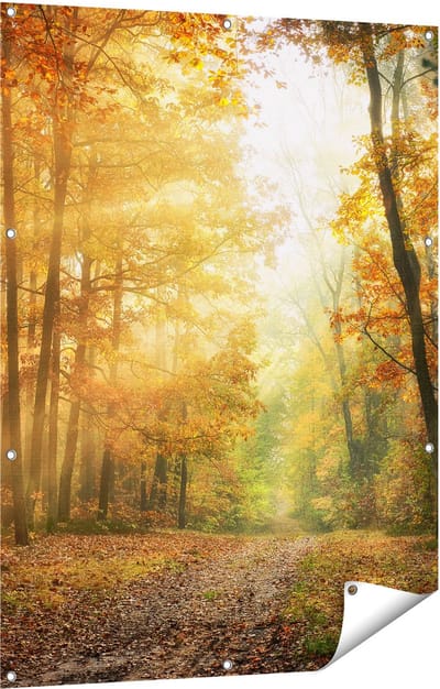 Gards Tuinposter Herfstbos met Zonneschijn - 90x120 cm - Tuindoek - Tuindecoratie - Wanddecoratie buiten - Tuinschilderij