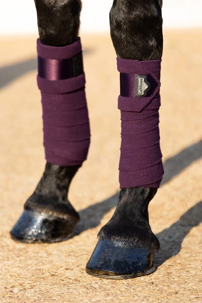 Lemieux Bandages Loire Polo - Paars - paard