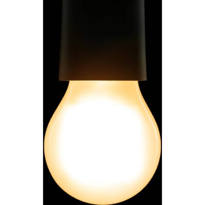 SEGULA Bright LED lamp High Power E27 7,5W mat