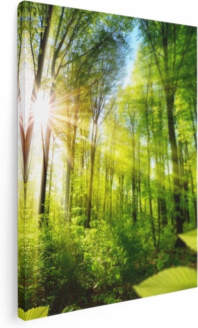 Artaza Canvas Schilderij Zon In Bos - 30x40 cm - Klein - Wanddecoratie Bomen - Muurdecoratie Landschap - Kamer Accessoires