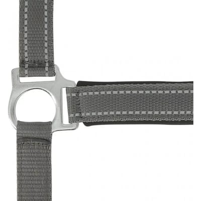 Halster voor paarden Norton Reflective