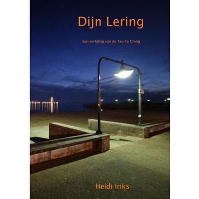 Dijn Lering - Heidi Iriks