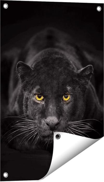 Gards Tuinposter Zwarte Panter met Oranje Ogen - 40x60 cm - Tuindoek - Tuindecoratie - Wanddecoratie buiten - Tuinschilderij