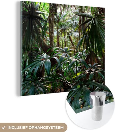 MuchoWow® Glasschilderij 50x50 cm - Schilderij acrylglas - Planten in regenwoud - Foto op glas - Schilderijen