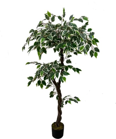 HomeBound by KY | Kunstplant ficus 150cm | 150cm | plant voor binnen